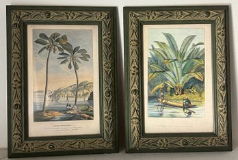 Horto Van Houtteano Polynesian Framed Botanical Prints - 2 Pieces