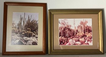 Japanese Botanical Garden Prints Framed - 2 Pieces