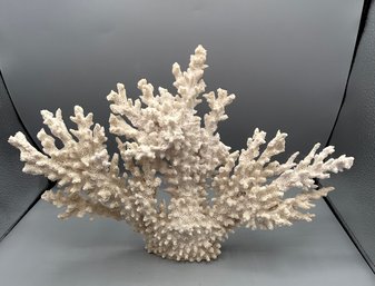Large Natural White Coral Tree