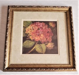 Hydrangea By Katherine White  Gold Tone Framed & Matted Print Wall Decor