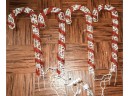 Set Of 4 Lighted Candy Cane Lawn Picks