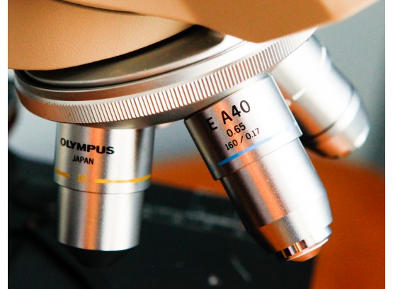 Olympus Microscope - H62612 - CH2