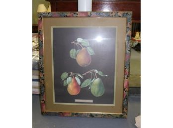 Decorative Fruit Pattern Print Framed G Brookshaw Plate LXXXII