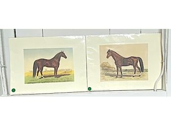 Horse Paintings, Matted, Hand Painted, French, Set Of 4