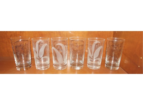 Lot Of Etched Drinking Glasses
