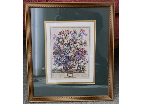 Four Vintage Framed Print Williamsburg Botanical Floral Matte Prints
