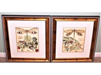 Pair Of Whimsical Dragonfly Framed Prints