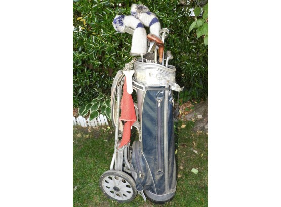 Assorted Set Of Golf Clubs With Golf Bag