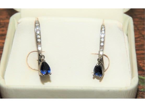 Lovely Blue Stone Costume Jewelry Earrings
