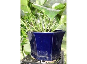 Dark Blue Flower Pot