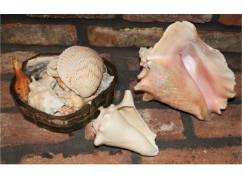 Assorted Sea Shells & Heart Shaped Glass Dish
