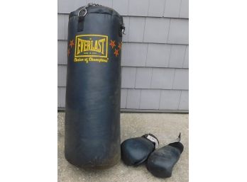 Everlast Heavy Bag On Metal Chain With Proforce Boxing Gloves