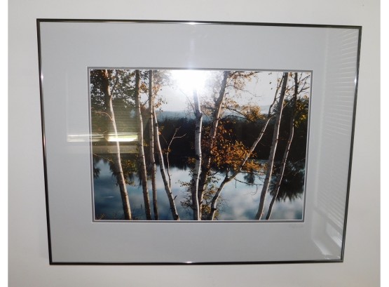 Vibrant Ronald Wilson Photographer Signed Lake View Professionally Framed & Matted
