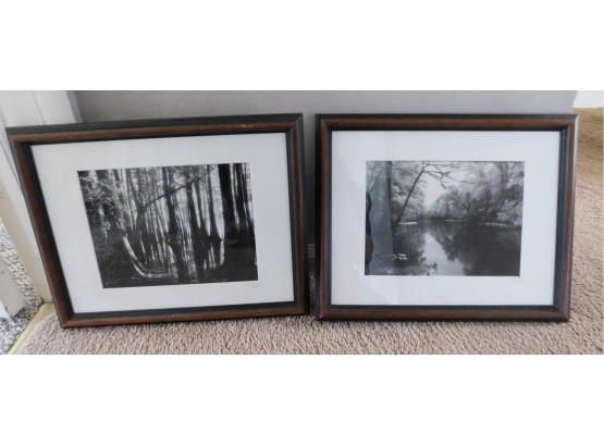Pair Of Decorative Nature Prints Framed Cypress/oklawaha Signed SAM
