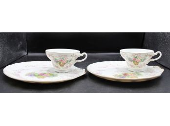 Bristol Garden Lipper & Mann Tea Cup And Lunch Plate - Beautiful Victorian Design