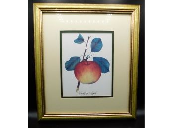 Cooking Apple Print - Gold Toned Frame