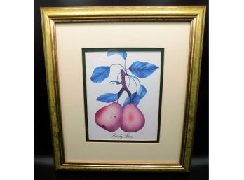 Hardy Pears Print - Gold Toned Frame
