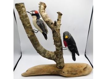 Black Cheek Wood Pecker / Rose-breasted Grosbeak 3D Wooden Birds On A Branch Display