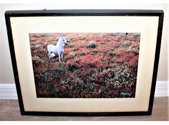 Robert Vavra Signed Photographic Print - 'in The Meadow' W/ COA