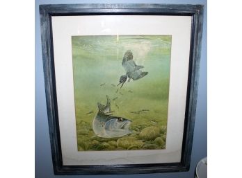 Kingfisher And Rainbow Trout - Artist Signed Print