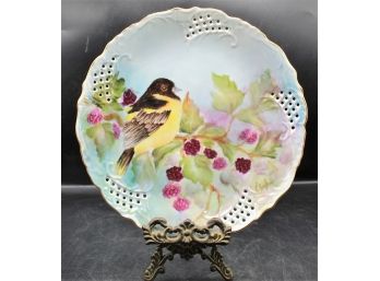 Vintage Baltimore Oriole / Floral Hand Painted Decorative Porcelain Plate
