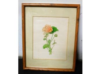 Floral Painting Artist Signed - BGN 1958 & Framed