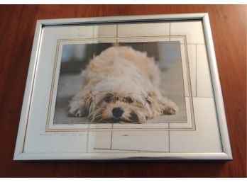 Decorative Dog Wearing Glasses Print With Mirrored Glass Frame