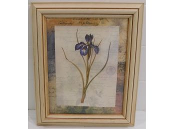 Framed Floral Decorative Print