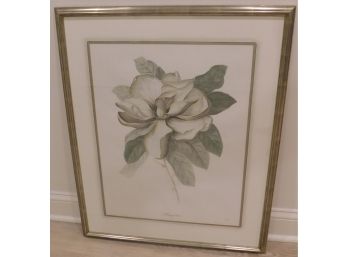 Antique 'magnolia' 1744 Framed Art Print