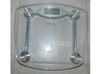 Taylor #7506 Glass Lithium Scale