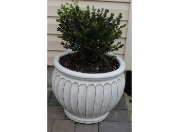 Large Outdoor Garden Pots W/Plants