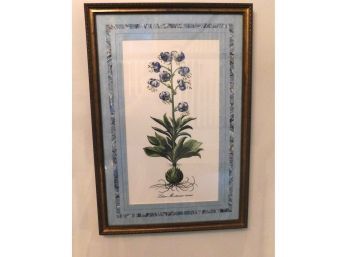 Lilium Montanum Minus - Floral Artwork In Decorative Frame