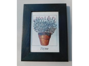 Potted Thyme Print In Dark Wooden Frame