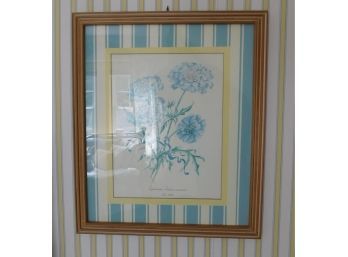 Dipsacaceae Scabiosa Caudasica - Blue Florals Artwork With Wooden Frame