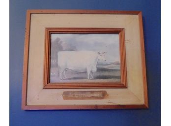 'A Prize Ox' Framed Artwork With Plaque