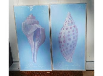 Decorative Pair Of  Seashell Paintings - 'Strombus' And 'pyramidella'