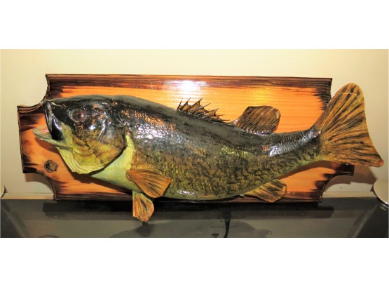 Authentic Mounted Bass Fish