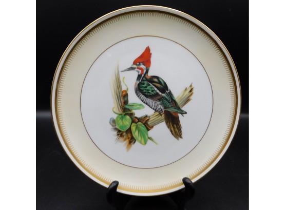 Pica Pau 'Woodpecker' Ceophloeus Lineatus Decorative Plate Made In Portugal