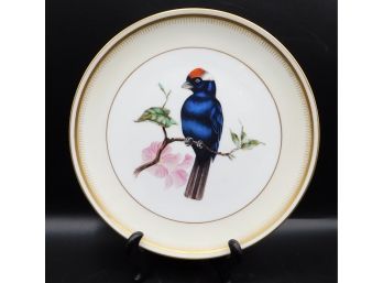 Sanhau-frade 'blue Jay' (Stephanophorus Diadematus) Decorative Plate Made In Portugal