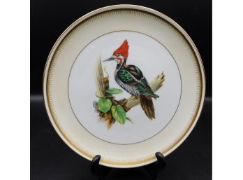Pica Pau 'Woodpecker' Ceophloeus Lineatus Decorative Plate Made In Portugal