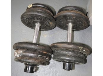 Dumbbells With Weider Cast Iron Plates - 1 Pair