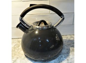 Gray Enamel Teapot