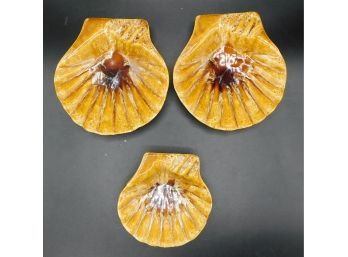 Set Of 3 Scallop Shell Inspired Trinket Dishes