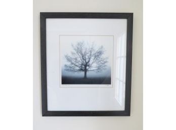 Signed Print - Calvo Trees By Richard Calvo - 1 In A Series Of 4 'Awakening'
