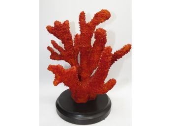 Red Coral With Black Wood Base Table Decor