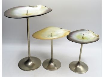Ochre Shell Candlestick Holders - Set Of 3 Various Sizes