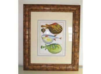 Histoire Naturelle Puffer Fish Illustration - Framed Numbered Print