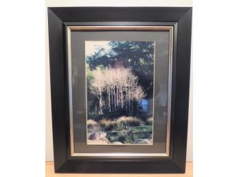 Myrna Turtletaub 'Arboretum' Signed Photograph, Framed
