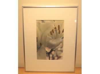 Gladys Tietz Paint On Photograph Of A White Lily