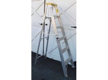 Davidson 6' Ladder Commercial Type II